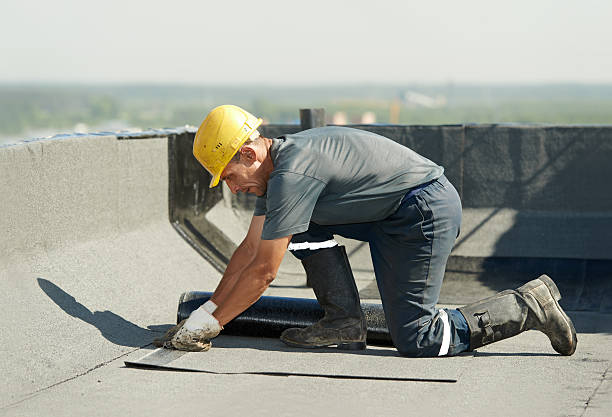Best Specialized Insulation Services in Gateway, FL